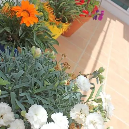 That Little Feriehus