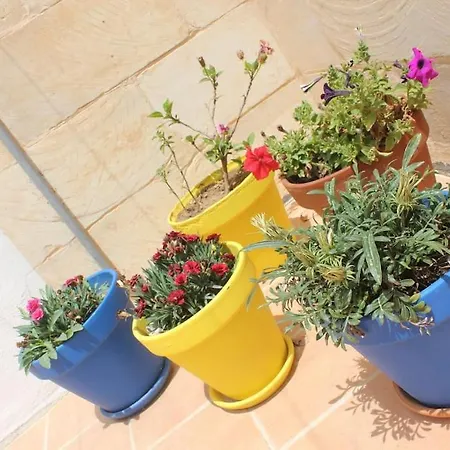 That Little * Zurrieq