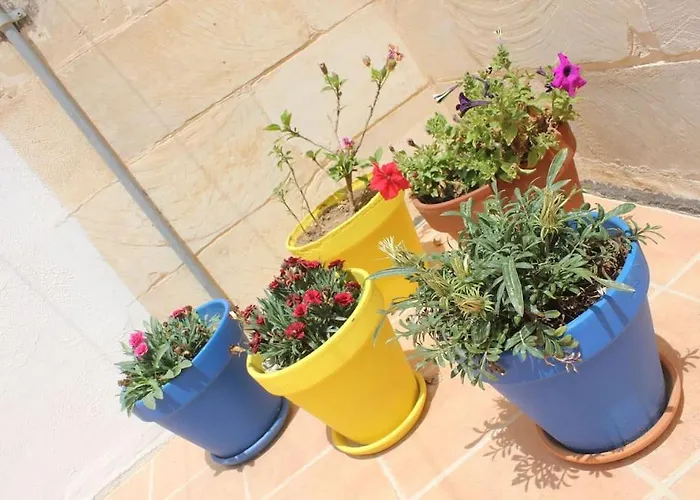 That Little * Zurrieq