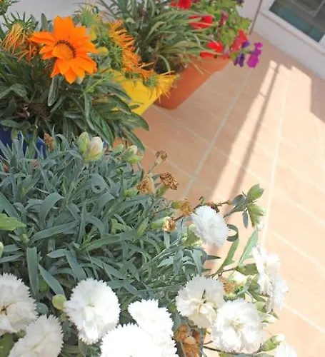 That Little Feriehus